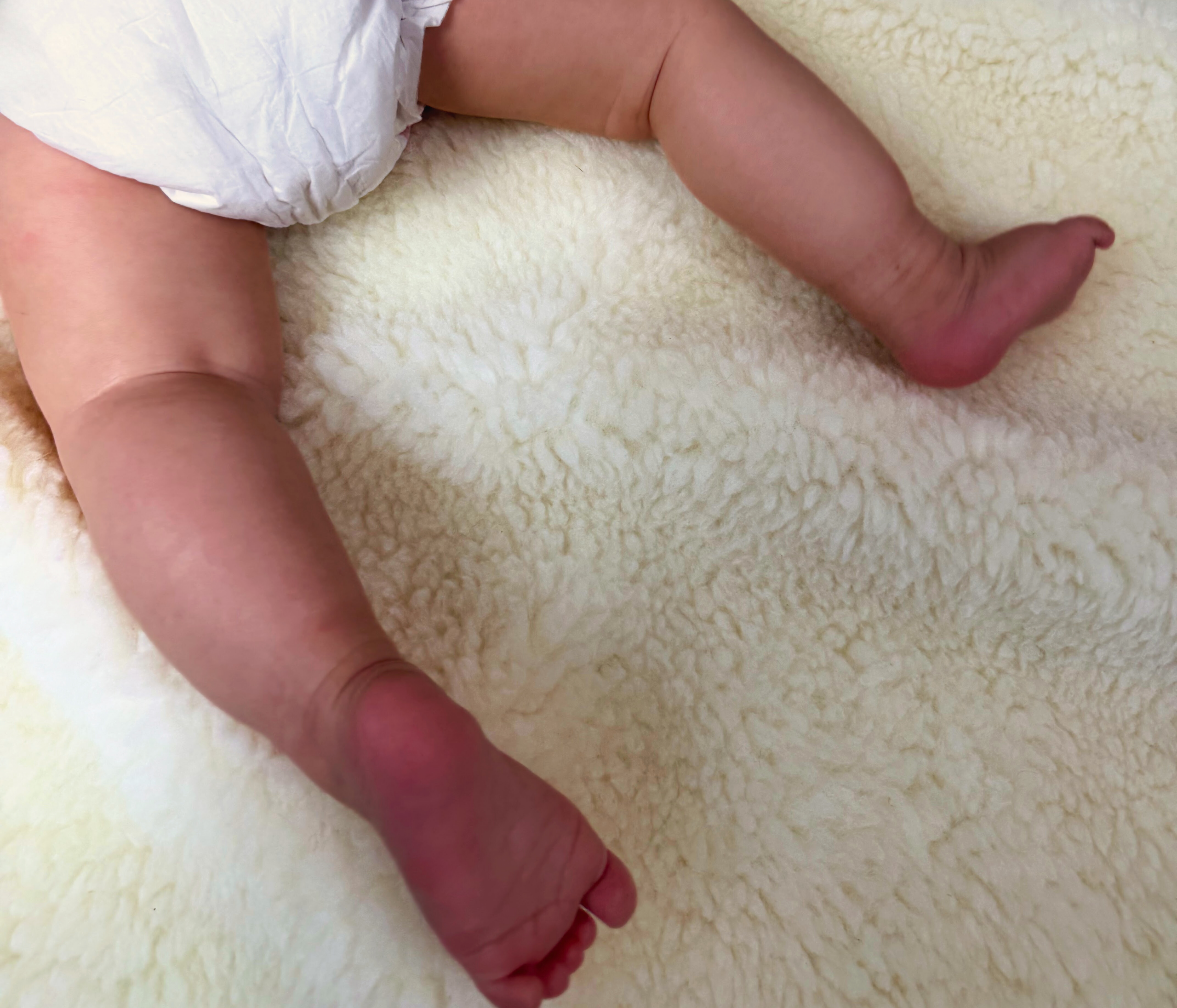 Merino wollen boxkleed 80x100cm - Afbeelding 5