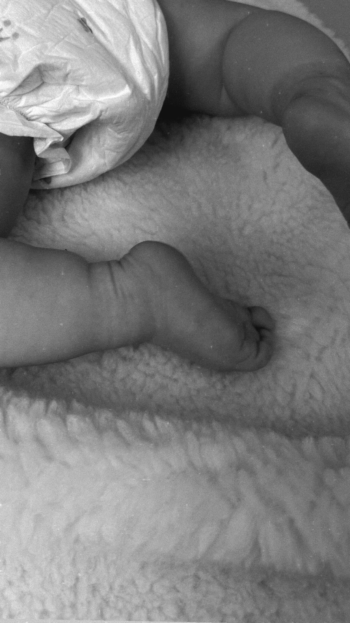 Merino wollen babydeken - 80x100 cm - Afbeelding 4